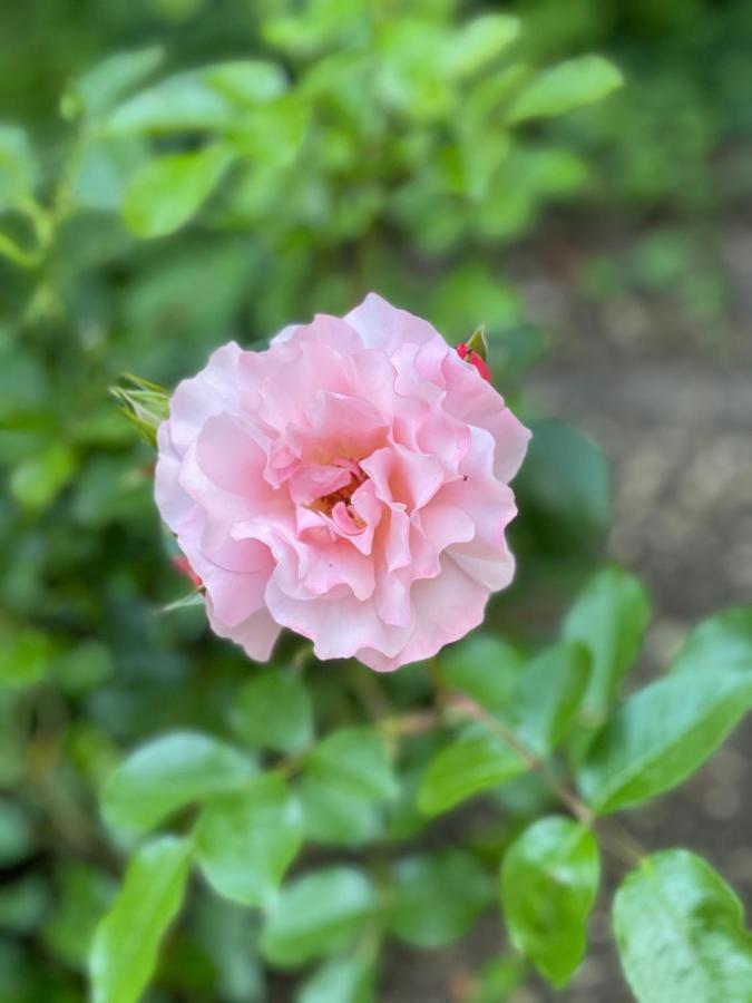 Maison Du Bonheur 빌리에쉬르마른 외부 사진